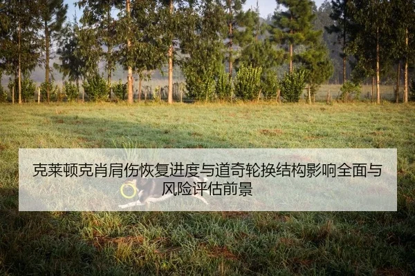 ke-lai-dun-ke-xiao-jian-shang-hui-fu-jin-du-yu-dao-qi-lun-huan-jie-gou-ying-xiang-quan-mian-yu-feng-xian-ping-gu-qian-2-354.jpg