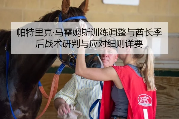 帕特里克·马霍姆斯训练调整与酋长季后战术研判与应对细则详要